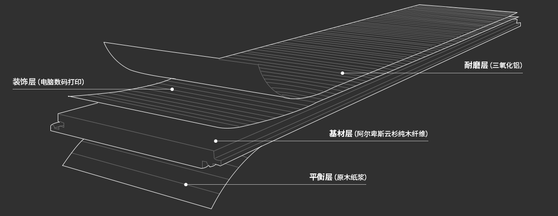 尊龙凯时·(中国游)人生就是搏!