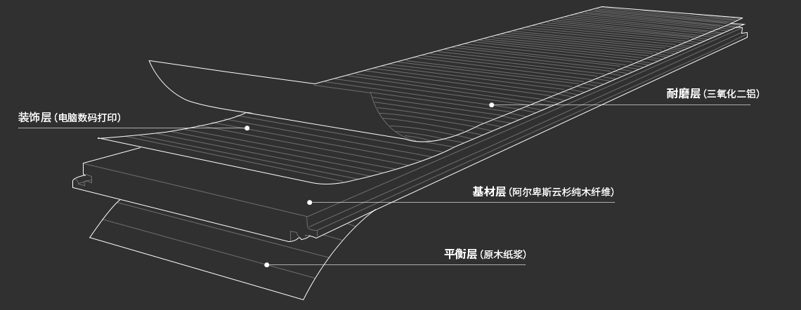 尊龙凯时·(中国游)人生就是搏!